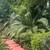 9047637094 LANDSCAPING🔹MULCHING🔹SOD🔹TREE TRIMMING🔹OVERGROWN LOTS 6 thumbnail