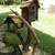 Bed and Breakfast Bird Houses, New 1 thumbnail