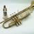 PALATINOTRUMPET, student grade, complete in hard case 2 thumbnail
