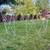 Garden Igloo 6 thumbnail