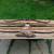 Extremely nice high-end Archery bows Barter or Sale 1 thumbnail