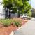 2BR apt | Generous closets | Bright open living room | Walnut Creek 19 thumbnail