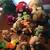 Large Beanie Babies collection 1 thumbnail