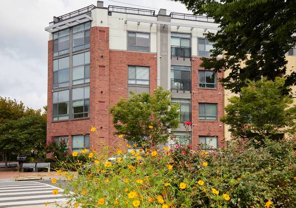 Spacious Two-Bedroom Silver Spring Apartment! Pets Welcomed 1