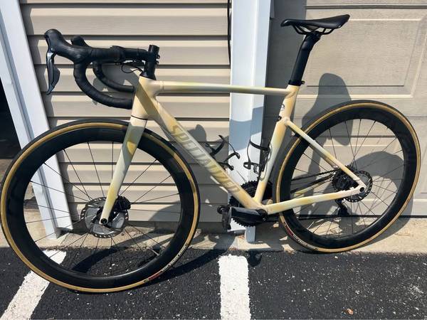 Specialized Allez Road Bike 54cm 1
