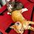 Kittens for adoption 3 thumbnail