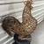 Large 24" Handwoven Grapevine Rooster Topiary Statue 1 thumbnail