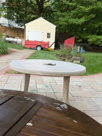 Circular Umbrella Table 1