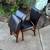 Leather Folding Chairs 2 thumbnail