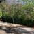 V- Coco. 857 m² container house on a plot with expansion potential 2 thumbnail
