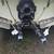 1978 TIARA VACATIONER , TRANSMISSION,TRANSOM ASSEMBL;Y, TR TRS STERNDR 13 thumbnail
