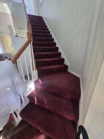 Carpeted Staircase Installation – Professional Finish 1