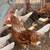 Bantam Chickens 6 thumbnail