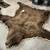 Large Bear Rug 7 thumbnail