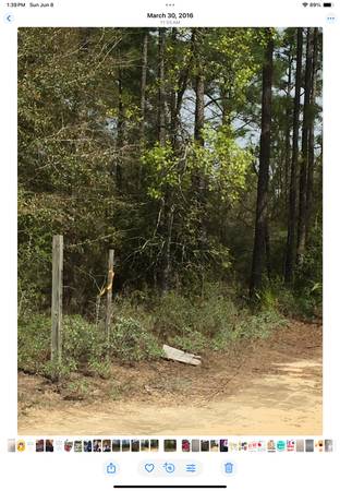 65 000 dólares por cinco acres de terreno mejorado (Marianna, FL)63350762325505121