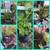 Books Remodeling Landscaping Planting 22 thumbnail