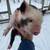Kune Piglets 4 thumbnail