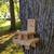Squirrel Picnic Table Feeder 11 thumbnail