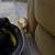 Ferrett 1 thumbnail