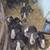 Feeder pigs 3 thumbnail