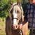 FOR ADOPTION - Heartland Equine Rescue -11yr Rocky Cross Pony 3 thumbnail
