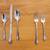 Silver Plate Flatware 56 Piece Set 2 thumbnail
