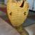 Vintage 1950s King Mamba Taxidermy 7 thumbnail