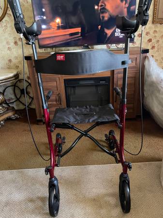 Vive Mobility Walker 1