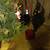 3 Christmas trees artificial 2 have vases 3 thumbnail