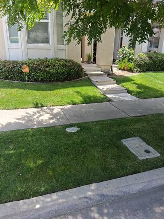 Yard clean ups/Lawn maintenance 1