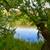 Rewarding Missouri Riverfront Acreage 20 thumbnail