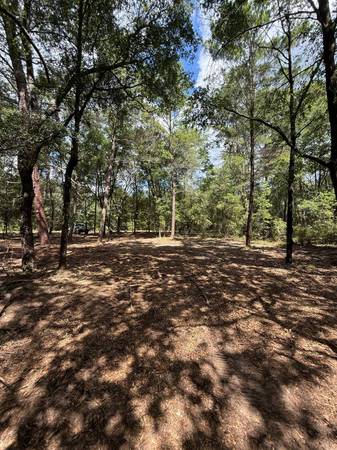 $20,000 / 9500ft2 - Lote de .22 Acre en el Corazón de Interlachen FL! (Interlachen)63823027456771122