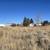 #11-12 ~ Two Parcels ~ Pleasant View Dr ~ .52 Acres ~ Owner Carry 13 thumbnail