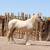 Palomino Gypsy Vanner 11 thumbnail