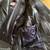 Bill Wall Leather Jacket 8 thumbnail