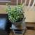 Flower pots, some classic old pots / stand set And Or 24 thumbnail