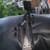 Guitar - First Act ME636 - used, good 3 thumbnail