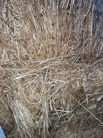 Dry covered hay 1