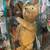 WANTED:  ANTIQUE HUNTERS – THE FUN IS IN THE HUNT! 15 thumbnail