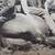 Spanish American War Era Military Photo. Soldiers,Cavalry Horse Lot 1 5 thumbnail