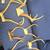 Assorted antlers 1 thumbnail