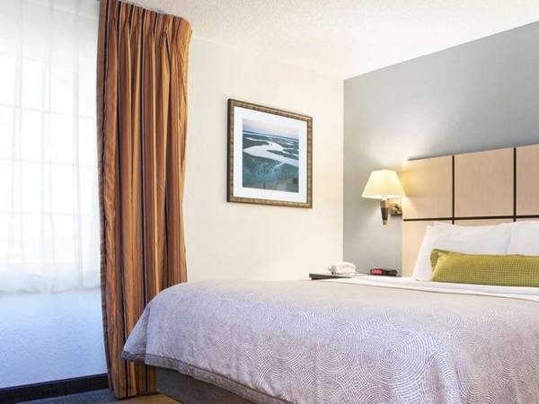 $312 Siegel Rewards Program, Studio 1/ba, San Antonio TX (NEAR MEDICAL CENTER)63681045110403121