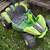Power wheels 1 thumbnail