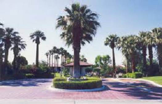$1,400 / 1br - 1 Bedroom-1 Bath-Pool-Jacuzzi-Tennis - FURNISHED (Palm Springs)63686264899843121