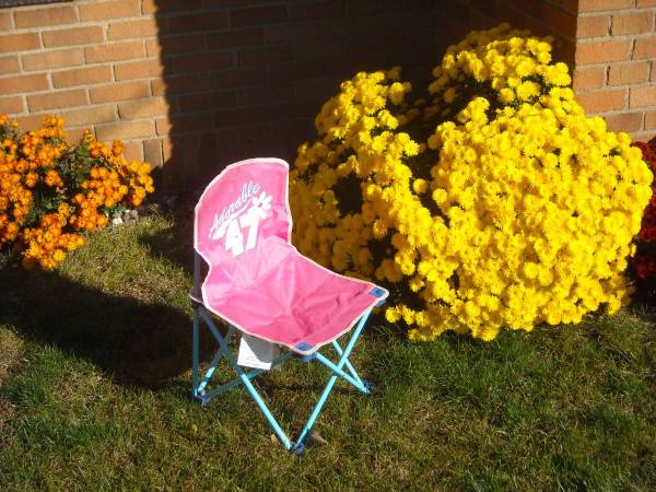 Folding Child's Camp Chair (Pink) 1