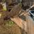 Peahen 3 thumbnail