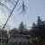 **STUMP GRINDING. TREE TRIMMING TREE REMOVAL LOT CLEARING** 5 thumbnail