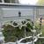 Antique console / buffet table 9 thumbnail