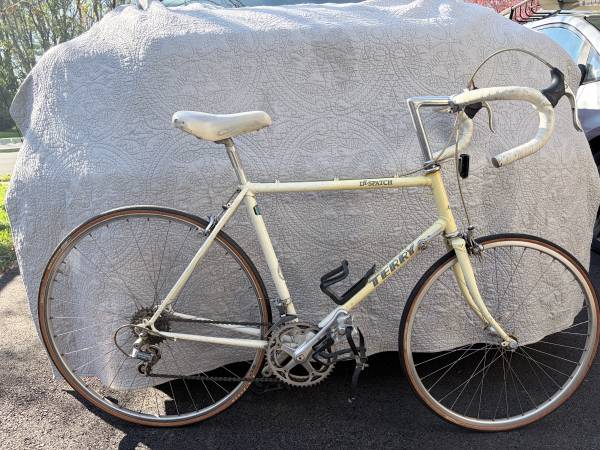 Terry Despatch Road Bike frame 1