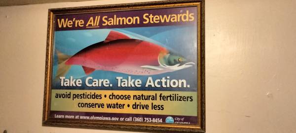 "WE ARE ALL SALMON STEWARDS" SIGN(*CITY OF OLYMPIA) FRAMED $80 1